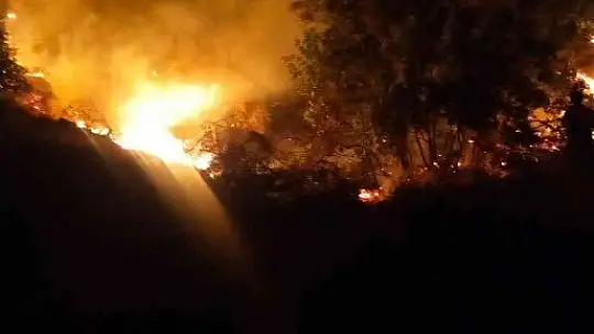 Bodrum 2 noktada yangın çıktı