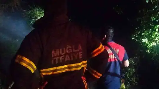 Bodrum 2 noktada yangın çıktı