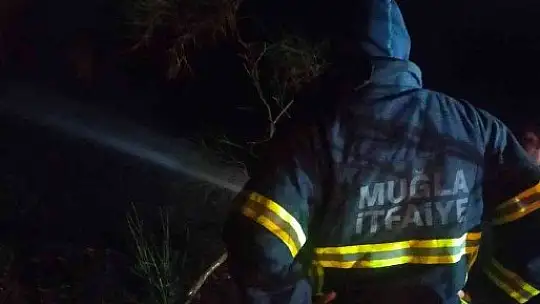 Bodrum 2 noktada yangın çıktı