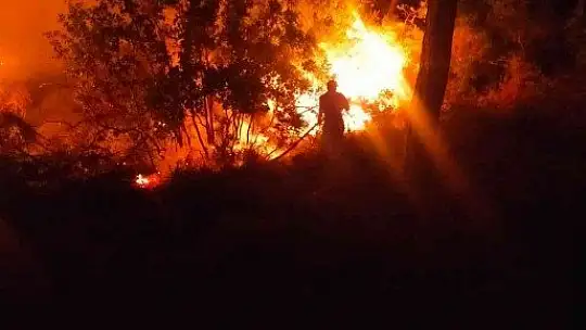 Bodrum 2 noktada yangın çıktı