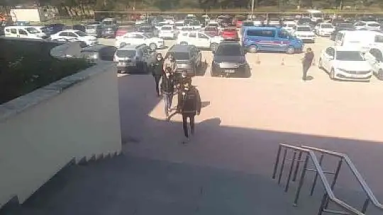 Bodrum'a uyuşturucu ile girerken yakalandılar