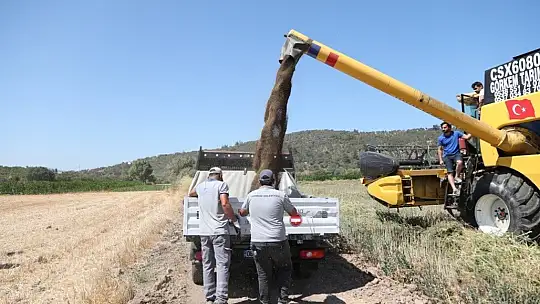 Bodrum Belediyesi, akaryakıtını kendi üretiyor
