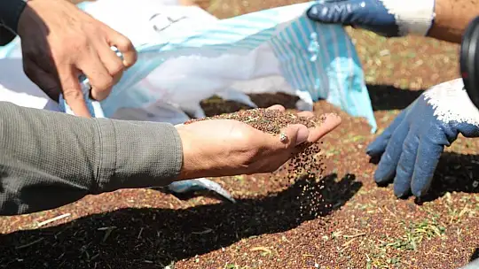 Bodrum Belediyesi, akaryakıtını kendi üretiyor