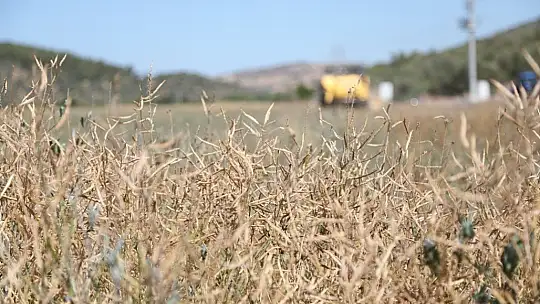 Bodrum Belediyesi, akaryakıtını kendi üretiyor