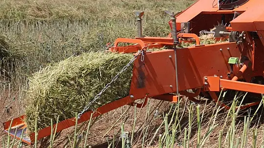 Bodrum Belediyesi, akaryakıtını kendi üretiyor