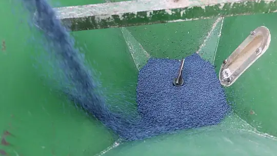 Bodrum Belediyesi Karakılçık Buğdayı ve Kanola tohumlarını toprakla buluşturdu