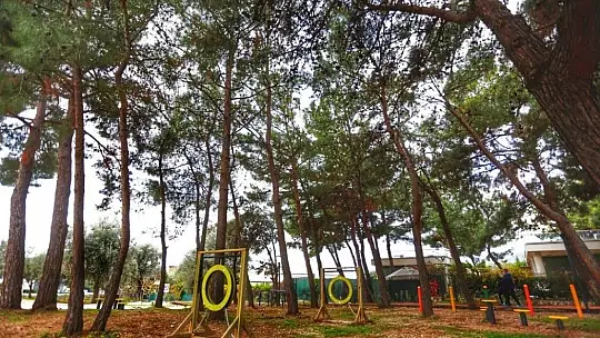 Bodrum Belediyesi'nden can dostlara jest, 'Dost patiler eğitim ve oyun parkı' açıldı