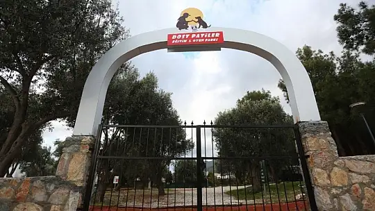 Bodrum Belediyesi'nden can dostlara jest, 'Dost patiler eğitim ve oyun parkı' açıldı