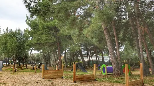 Bodrum Belediyesi'nden can dostlara jest, 'Dost patiler eğitim ve oyun parkı' açıldı