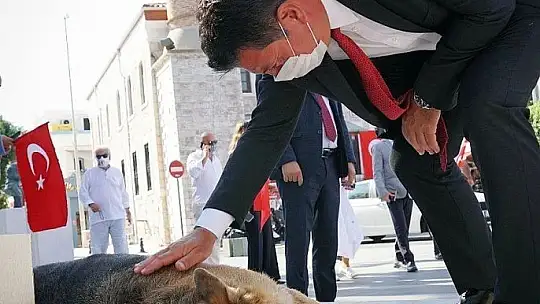 Bodrum Belediyesi'nden can dostlara jest, 'Dost patiler eğitim ve oyun parkı' açıldı