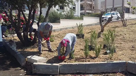 Bodrum Belediyesi'nden suda yüzde 80 tasarruf