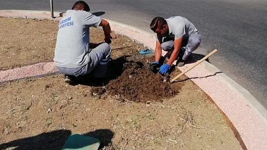 Bodrum Belediyesi'nden suda yüzde 80 tasarruf