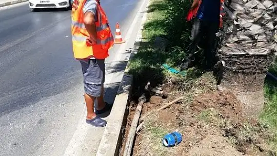 Bodrum Belediyesi'nden suda yüzde 80 tasarruf