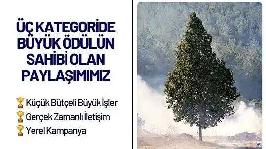 Bodrum Belediyesi'ne 3 ödül birden