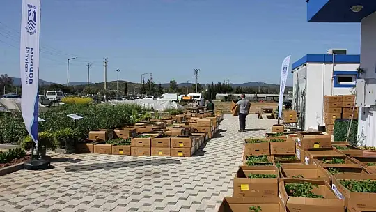 Bodrum'da 142 bin hibe fide üreticiyle buluştu