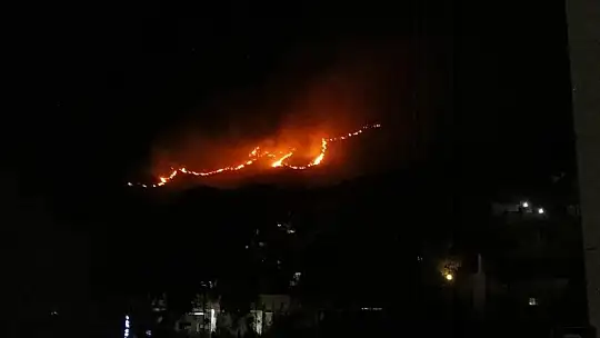 Bodrum'da 2 hektar alan yangında zarar gördü