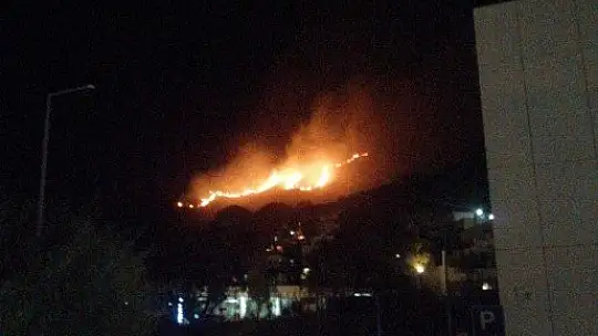 Bodrum'da 2 hektar alan yangında zarar gördü