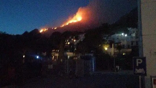 Bodrum'da 2 hektar alan yangında zarar gördü