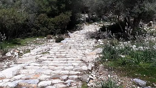 Bodrum'da 3 bin yıllık antik kent satılığa çıkarıldı