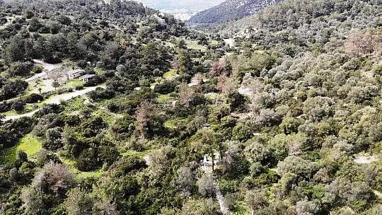 Bodrum'da 3 bin yıllık antik kent satılığa çıkarıldı