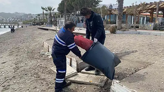 Bodrum'da bahar temizliği