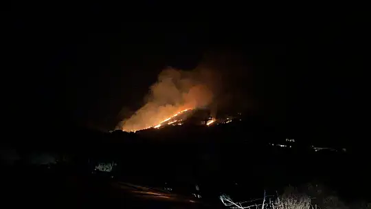 Bodrum'da çıkan yangın evlere ulaşmadan kontrol altına alındı