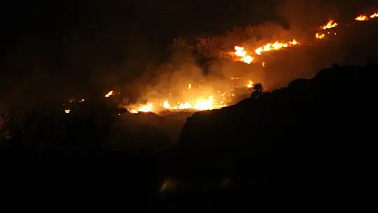 Bodrum'da çıkan yangın evlere ulaşmadan kontrol altına alındı