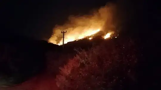 Bodrum'da çıkan yangın evlere ulaşmadan kontrol altına alındı