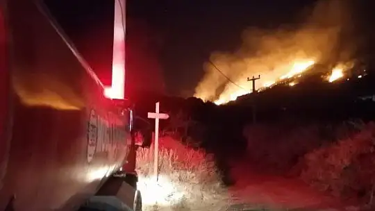 Bodrum'da çıkan yangın evlere ulaşmadan kontrol altına alındı