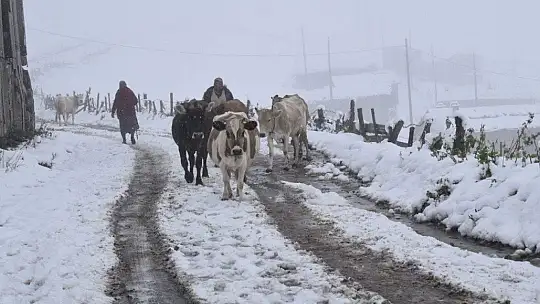 Bodrum'da deniz keyfi, Doğu'da kar kabusu