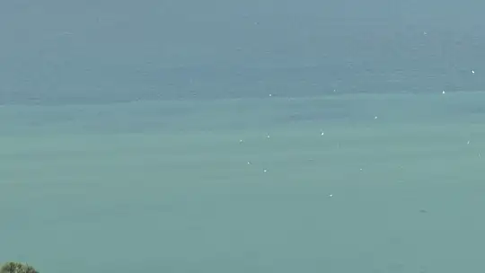 Bodrum'da denizin rengi kahverengiye dönüştü