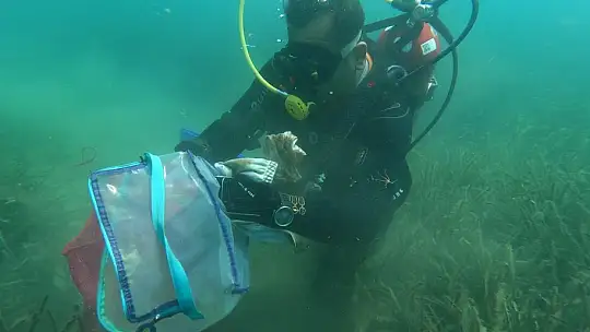 Bodrum'da Dünya Çevre Günü etkinlikleri sürüyor