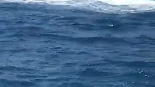 Bodrum'da facianın eşiğinden dönüldü