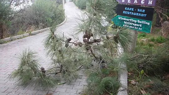 Bodrum'da fırtına kabusu