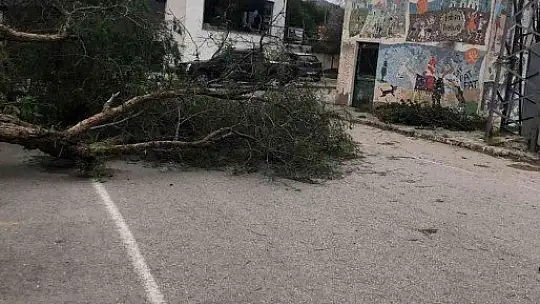 Bodrum'da fırtına kabusu