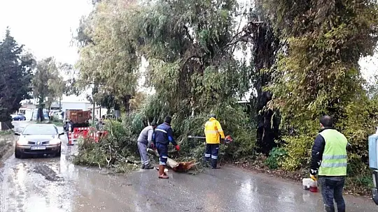 Bodrum'da fırtına ve dolu kabusu