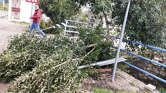 Bodrum'da fırtına ve dolu kabusu