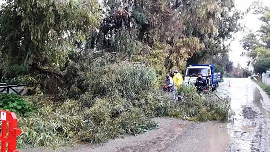 Bodrum'da fırtına ve dolu kabusu