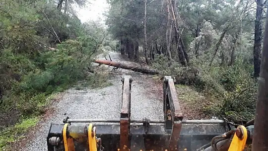 Bodrum'da fırtına ve dolu kabusu