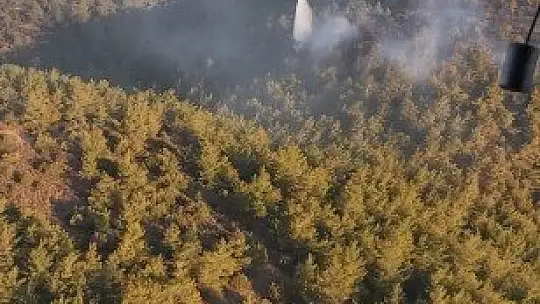 Bodrum'da gece çıkan orman yangını, sabah kontrol altına alındı