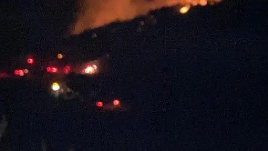 Bodrum'da gece çıkan orman yangını, sabah kontrol altına alındı