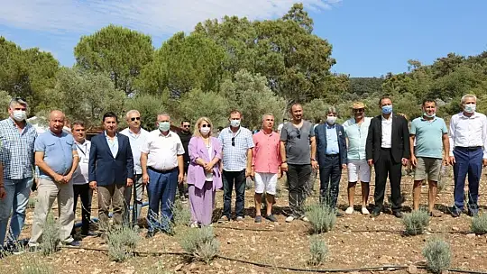 Bodrum'da Gençlik Tarım Kampı başladı