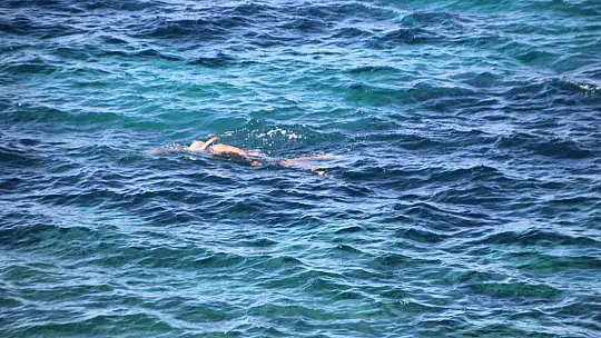 Bodrum'da güneşi gören sahile koştu