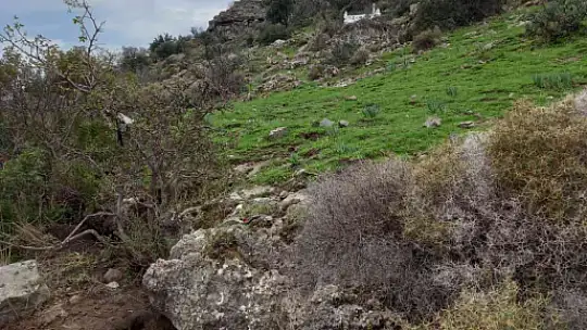 BODRUM'DA KAÇAK KAZIYA BASKIN: 2 GÖZALTI