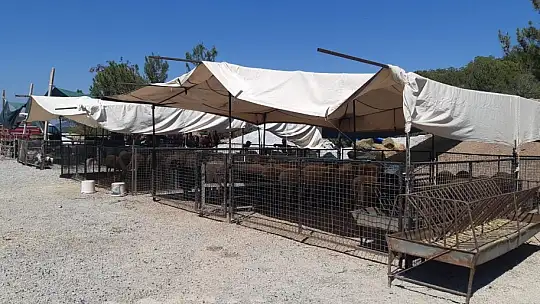 Bodrum'da kurban kesim yerleri bayrama hazır