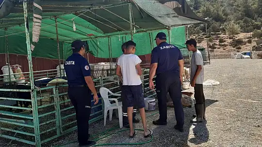 Bodrum'da kurban kesim yerleri bayrama hazır