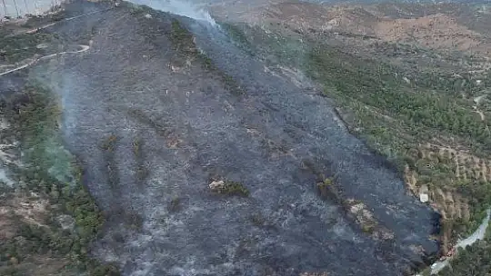 Bodrum'da makilik alanda yangın