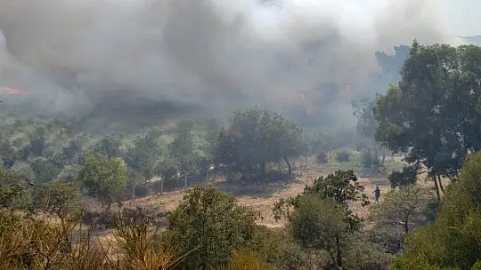 Bodrum'da makilik yangını