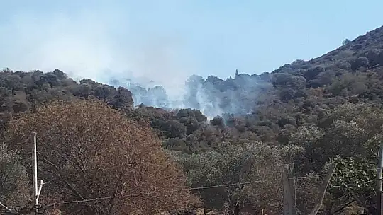 Bodrum'da makilik yangını