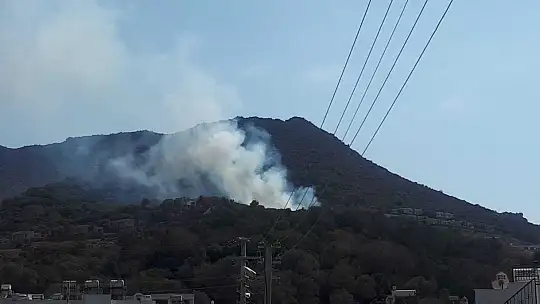 Bodrum'da makilik yangını